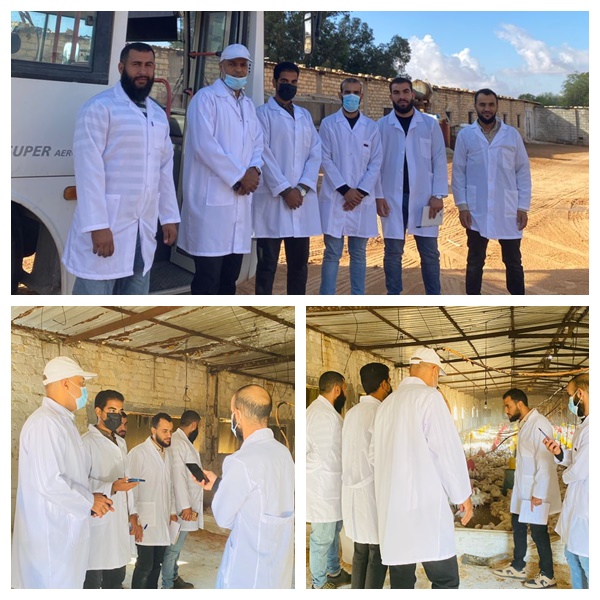 زيارة ميدانية قسم الإنتاج الحيواني لحظائر تربية دجاج اللحم .