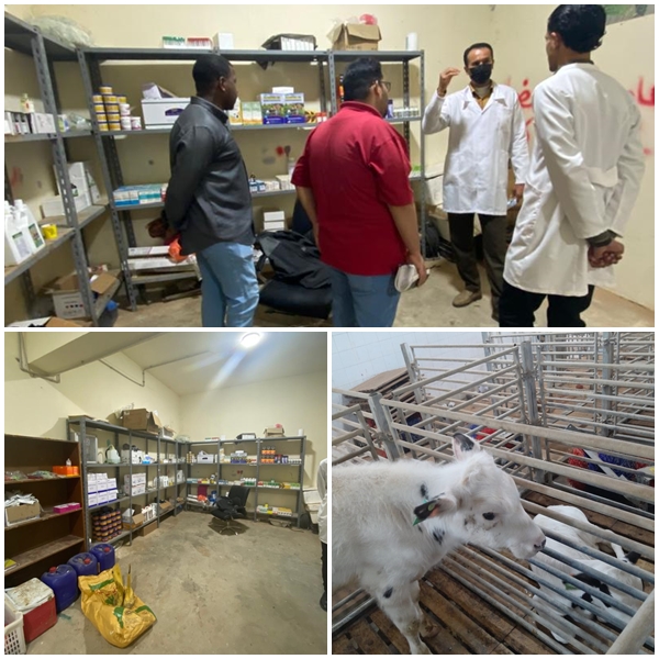 تقرير زيارة ميدانية : طلاب قسم الإنتاج الحيواني في جولة تعليمية